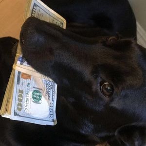 Meet your Posher, Martin